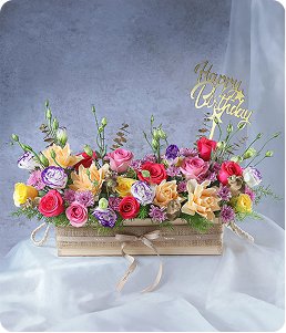 Sample Category