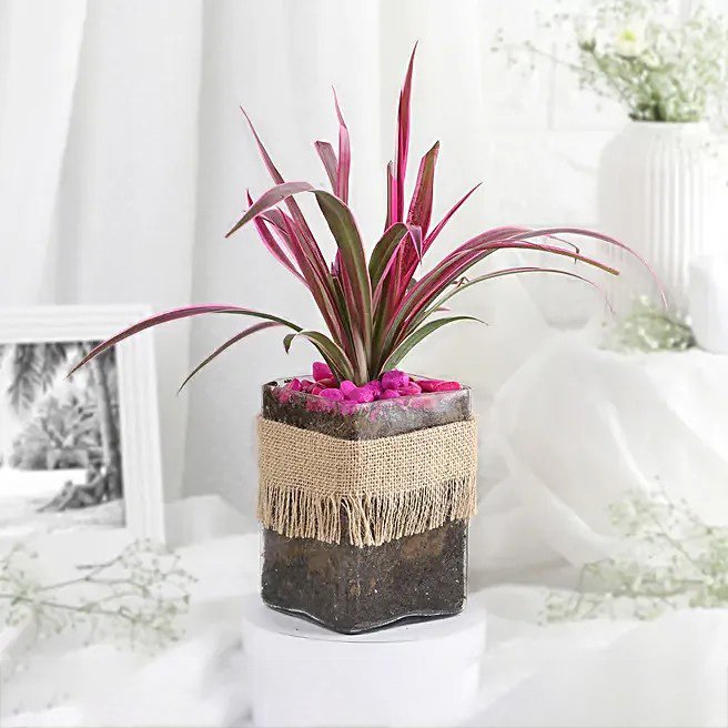 Soothing Green Spider Plant Charm