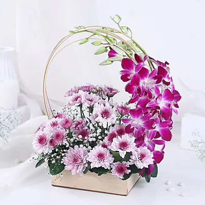 Royal Orchid & Daisy Embrace